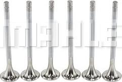 MAHLE VE0760102 - Випускний клапан autocars.com.ua