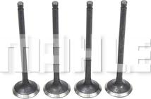 MAHLE VE1950237 - Випускний клапан autocars.com.ua