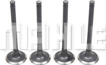 MAHLE VE1950246 - Випускний клапан autocars.com.ua