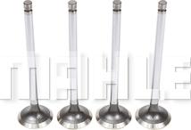 MAHLE VE2080848 - Випускний клапан autocars.com.ua