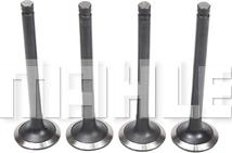 MAHLE VE2110186 - Випускний клапан autocars.com.ua