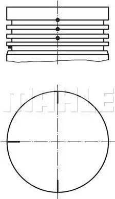 MAHLE 022 04 04 - Поршень autocars.com.ua