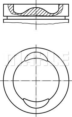 MAHLE 029 92 01 - Поршень autocars.com.ua