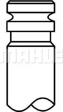 MAHLE 037 VA 31155 100 - Випускний клапан autocars.com.ua