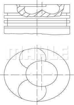 MAHLE 229 07 20 - Поршень autocars.com.ua