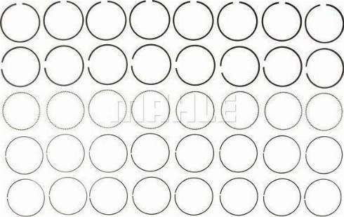 MAHLE 51556CP.020 - Комплект поршневих кілець autocars.com.ua