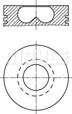 MAHLE 008 36 02 - Поршень autocars.com.ua