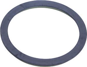 Maxgear 27-0713 - Зубчатое кольцо для датчика ABS autodnr.net