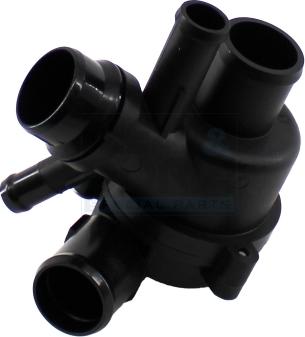 Meat & Doria 921063 - Термостат, охолоджуюча рідина autocars.com.ua