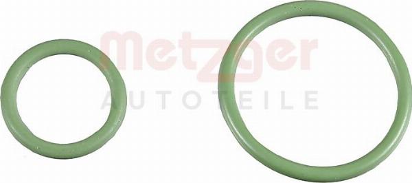 Metzger 0873069 - Комплект прокладок, насос уприскування autocars.com.ua