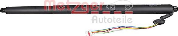 Metzger 2115009 - Електромотор, задні двері autocars.com.ua