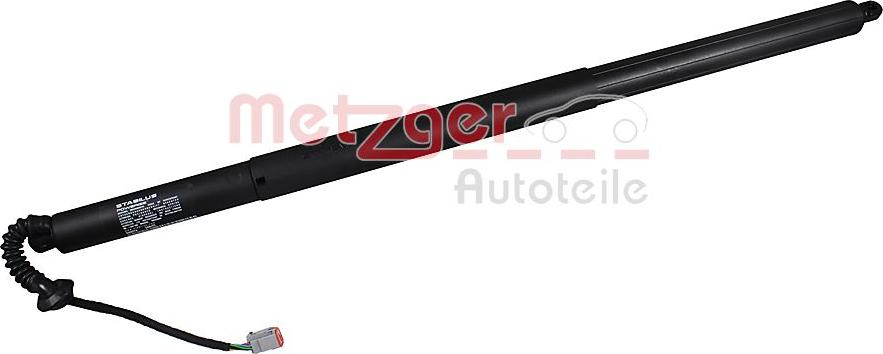Metzger 2115033 - Електромотор, задні двері autocars.com.ua