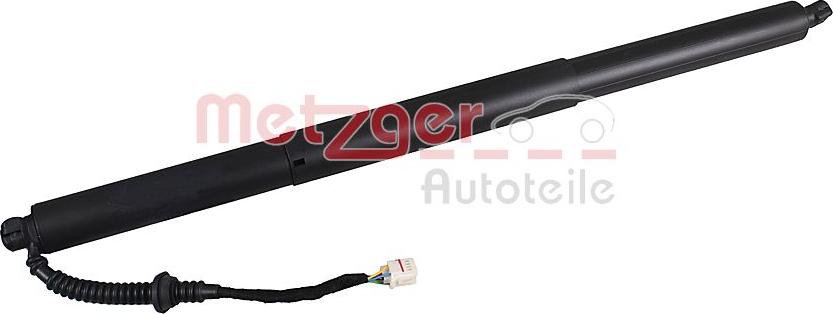 Metzger 2115048 - Електромотор, задні двері autocars.com.ua