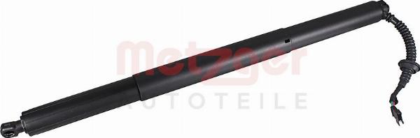 Metzger 2115055 - Електромотор, задні двері autocars.com.ua