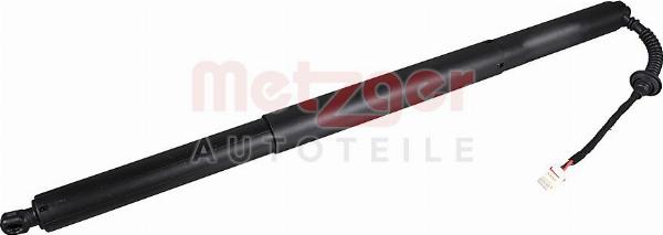 Metzger 2115077 - Електромотор, задні двері autocars.com.ua