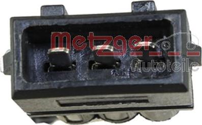 Metzger 2310584 - Ручка двері autocars.com.ua