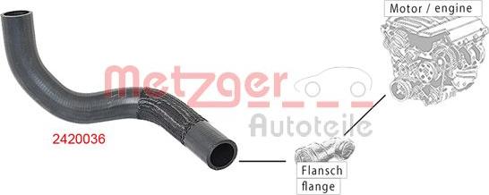 Metzger 2420036 - Шланг радіатора autocars.com.ua