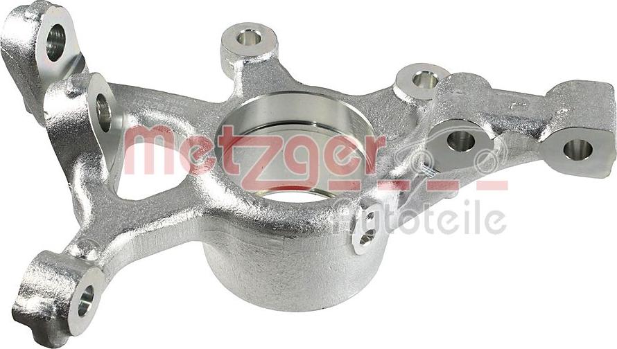 Metzger 58162301 - Поворотный кулак, подвеска колеса avtokuzovplus.com.ua