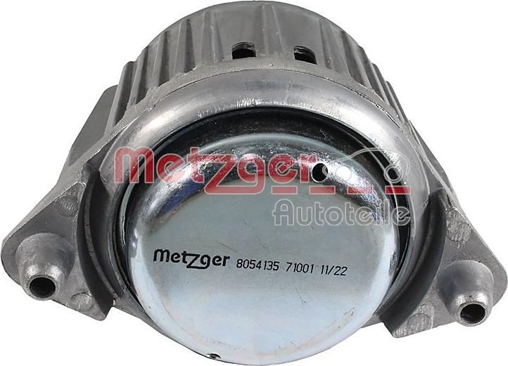 Metzger 8054135 - Подушка, опора, подвеска двигателя autodnr.net