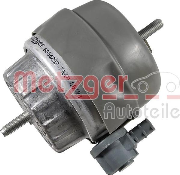 Metzger 8054253 - Подушка, підвіска двигуна autocars.com.ua