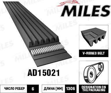 Miles AD15021 - Поликлиновой ремінь autocars.com.ua