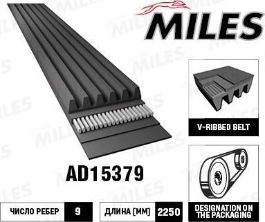 Miles AD15379 - Поликлиновой ремінь autocars.com.ua