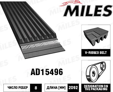 Miles AD15496 - Поликлиновой ремінь autocars.com.ua