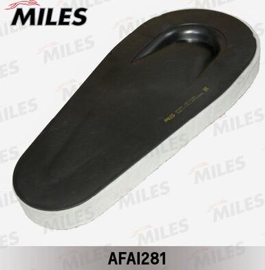 Miles AFAI281 - Повітряний фільтр autocars.com.ua