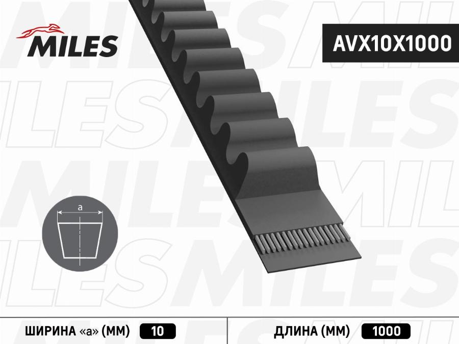 Miles AVX10X1000 - Клиновой ремень, поперечные рёбра avtokuzovplus.com.ua