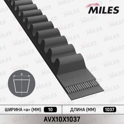 Miles AVX10X1037 - Клиновой ремень, поперечные рёбра avtokuzovplus.com.ua