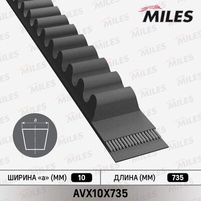 Miles AVX10X735 - Клиновой ремень, поперечные рёбра avtokuzovplus.com.ua
