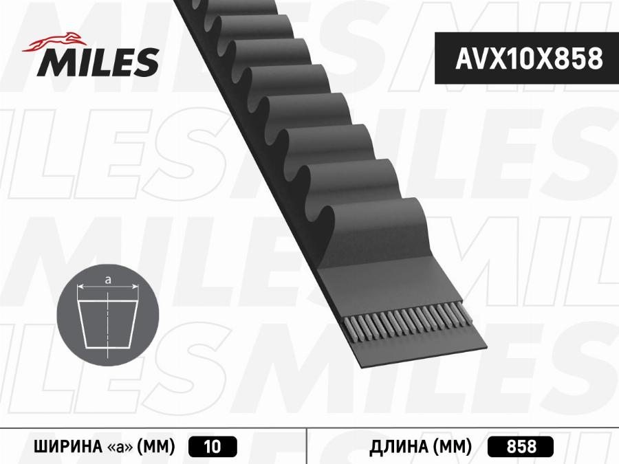 Miles AVX10X858 - Клиновой ремень, поперечные рёбра avtokuzovplus.com.ua