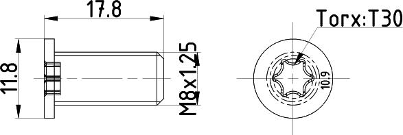 Mintex TPM0013 - Болт, диск гальмівного механізму autocars.com.ua