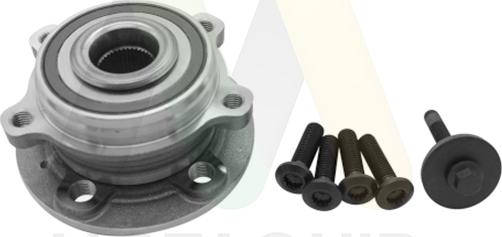 Motaquip LVBW1896 - Комплект підшипника маточини колеса autocars.com.ua