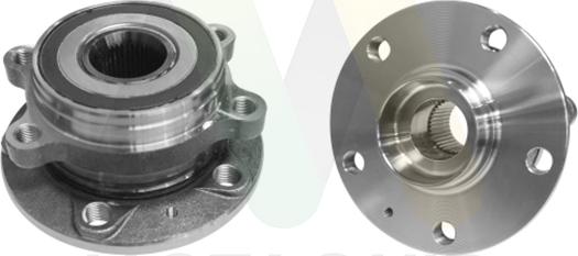 Motaquip LVBW1902 - Комплект підшипника маточини колеса autocars.com.ua