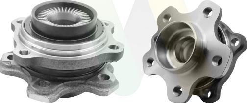 Motaquip LVBW1903 - Комплект підшипника маточини колеса autocars.com.ua