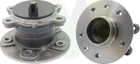 Motaquip LVBW1904 - Комплект підшипника маточини колеса autocars.com.ua