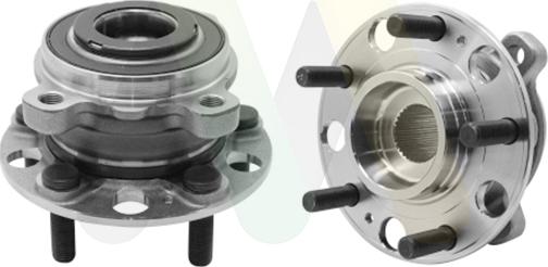 Motaquip LVBW1906 - Комплект підшипника маточини колеса autocars.com.ua
