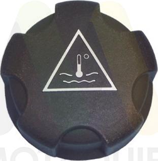 Motaquip LVCR332 - Кришка, резервуар охолоджуючої рідини autocars.com.ua