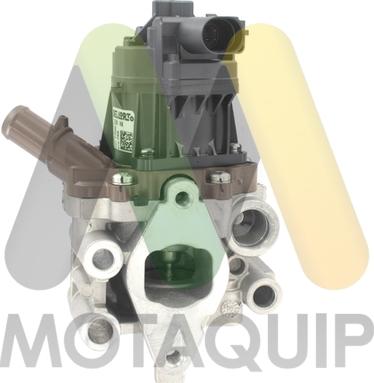 Motaquip LVER366 - Клапан повернення ОГ autocars.com.ua