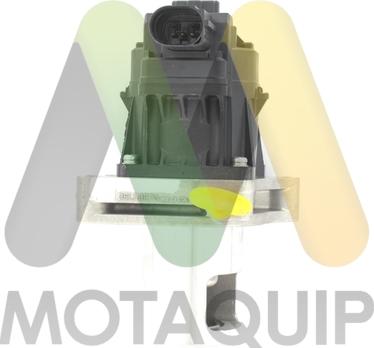 Motaquip LVER397 - Клапан повернення ОГ autocars.com.ua