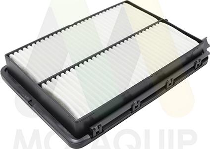 Motaquip LVFA1669 - Повітряний фільтр autocars.com.ua