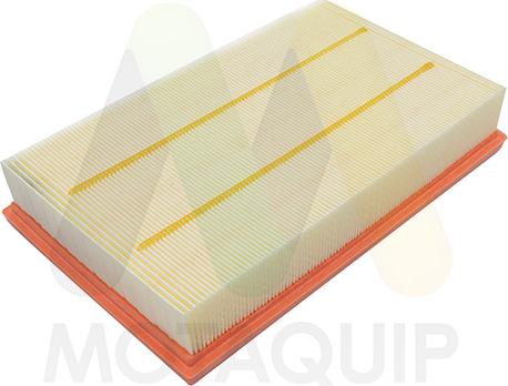 Motaquip LVFA1673 - Повітряний фільтр autocars.com.ua