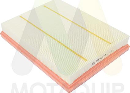 Motaquip LVFA1699 - Повітряний фільтр autocars.com.ua
