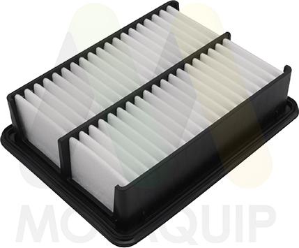 Motaquip LVFA1754 - Повітряний фільтр autocars.com.ua