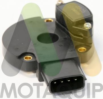 Motaquip LVIM246 - Блок керування, система запалювання autocars.com.ua