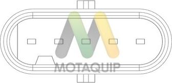 Motaquip LVMA163 - Датчик потоку, маси повітря autocars.com.ua