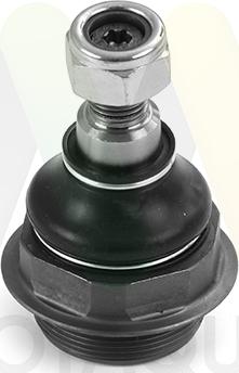 Motaquip LVSJ1295 - Несучий / направляючий шарнір autocars.com.ua