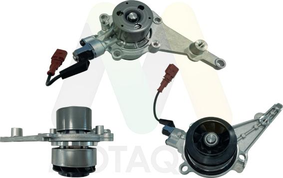 Motaquip LVWP1133V - Водяний насос autocars.com.ua