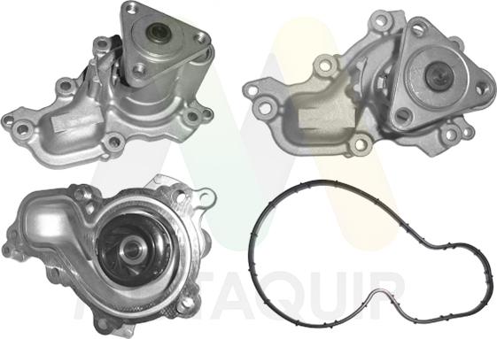 Motaquip LVWP1135 - Водяний насос autocars.com.ua